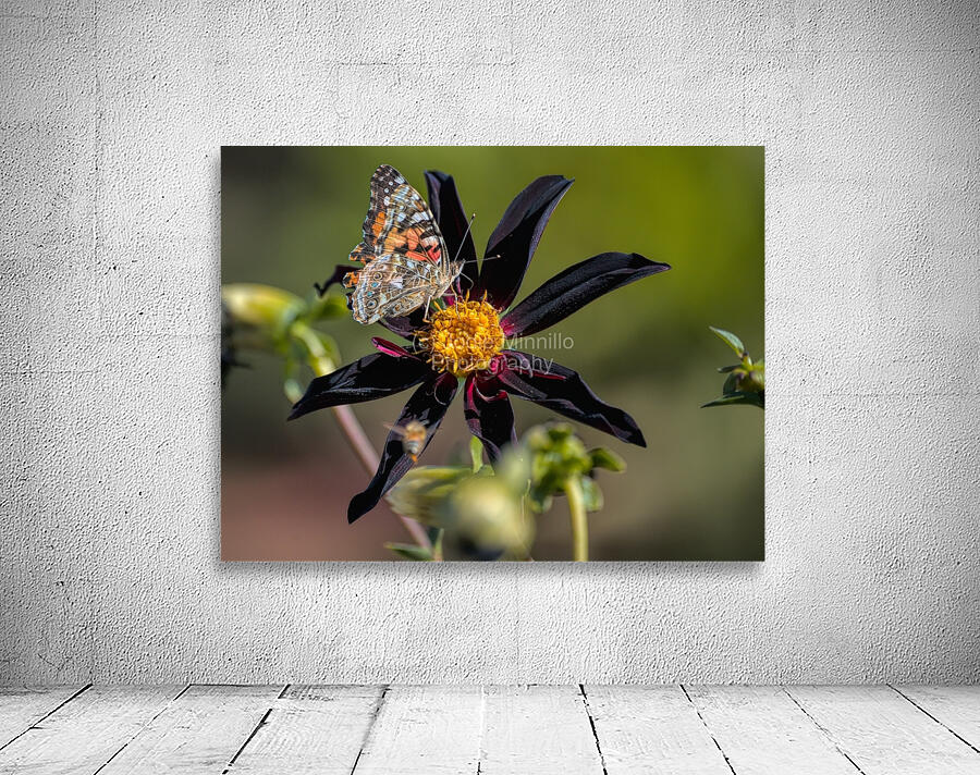 Floral Collection 3 Wall Preview