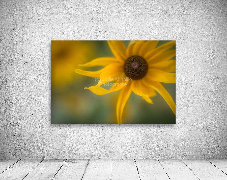 Floral Collection 4 Wall Preview