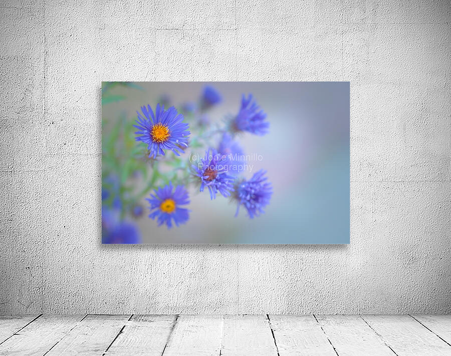 Floral Collection 7 Wall Preview