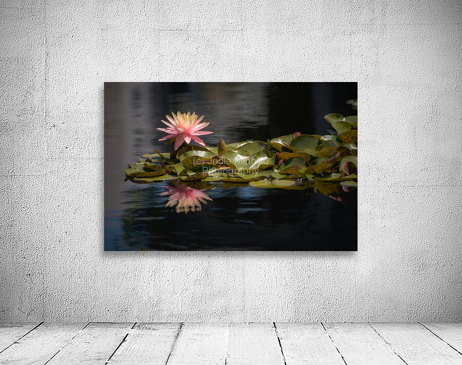 Floral Collection 8 Wall Preview