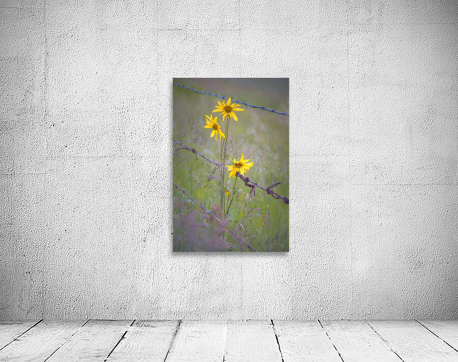 Floral Collection 2 Wall Preview