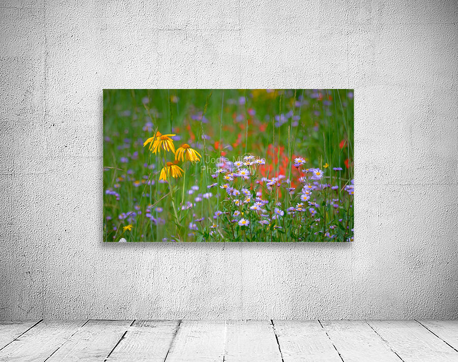 Floral Collection 1 Wall Preview