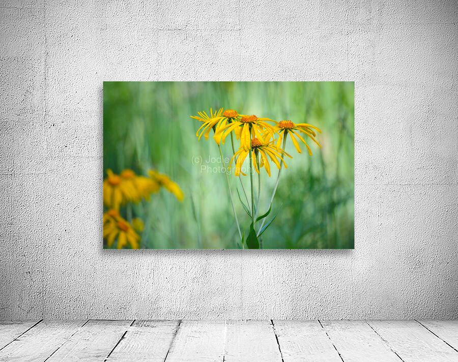 Floral Collection 2 Wall Preview
