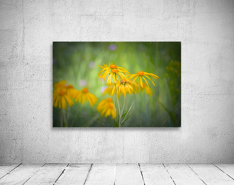 Floral Collection 3 Wall Preview