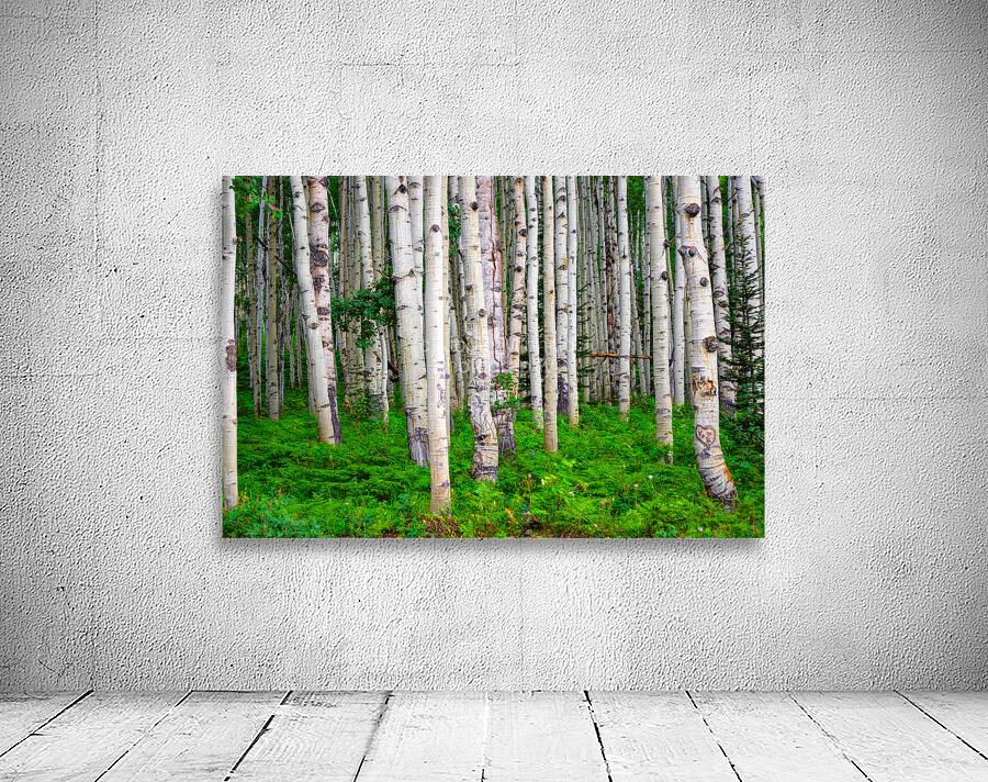 Landscape Wall Preview