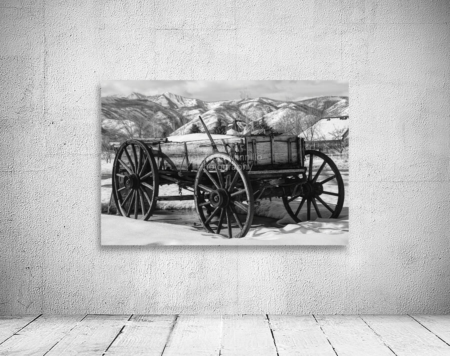 black and white Wall Preview