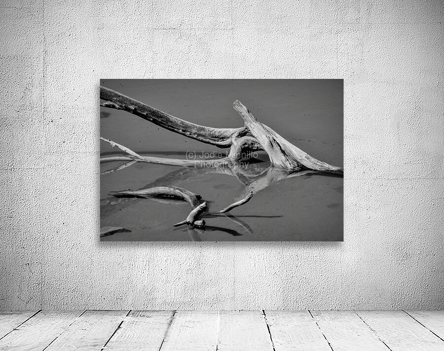 black and white reflection Wall Preview