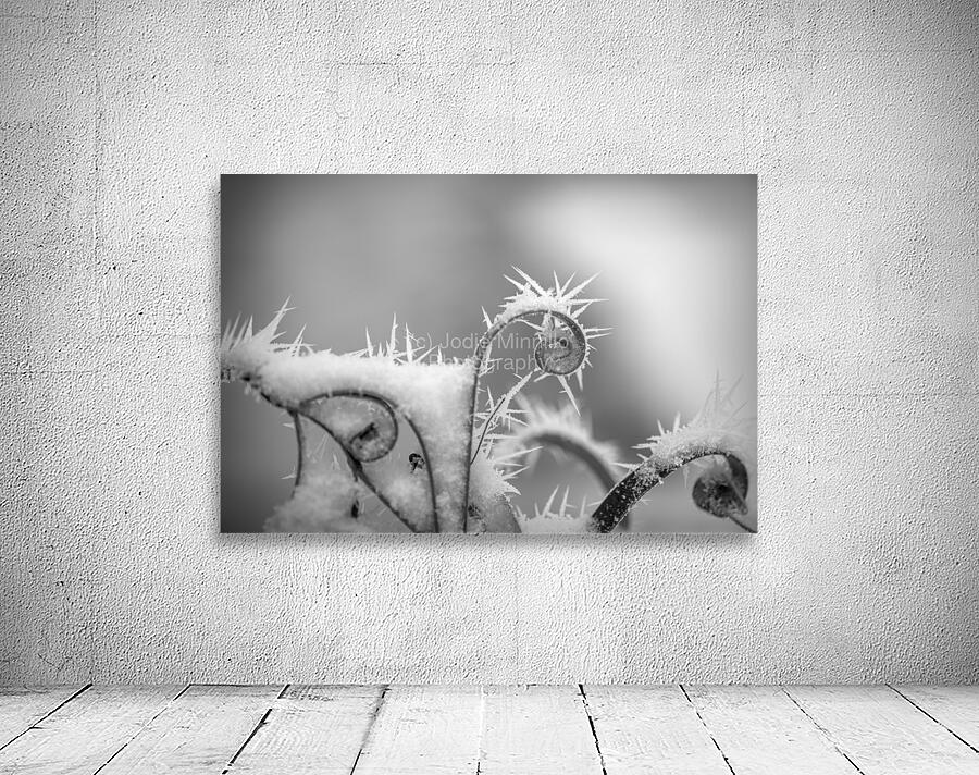 black and white Wall Preview