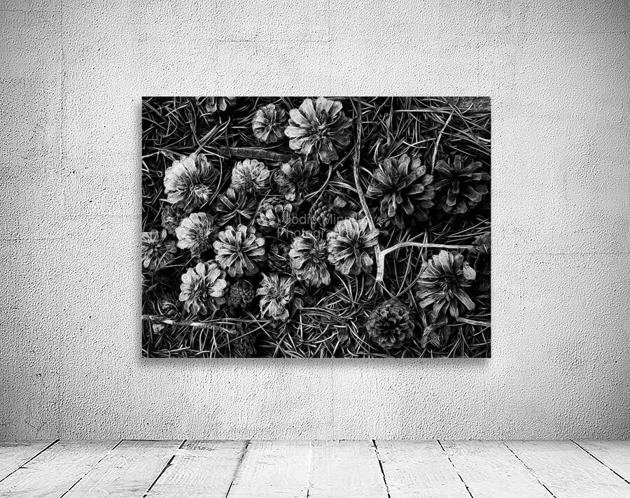 black and white Wall Preview