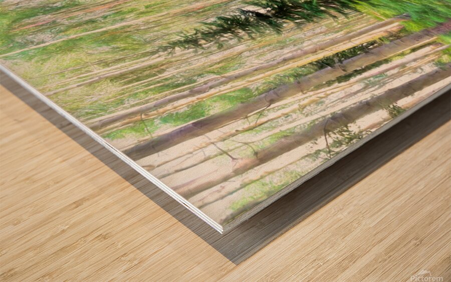 Colorado Landscapes 26 Wood print