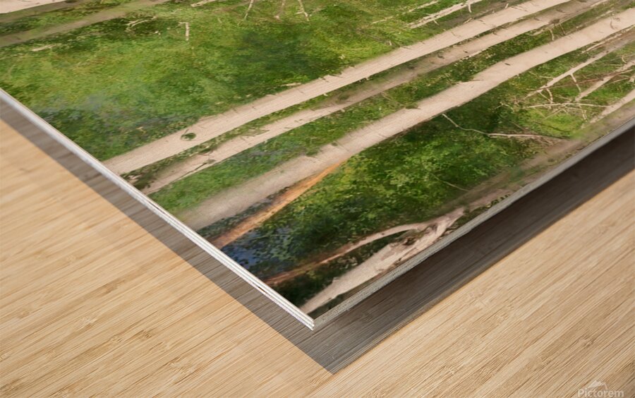 Colorado Landscapes 25 Wood print