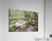 Scalby Brook Acrylic Print