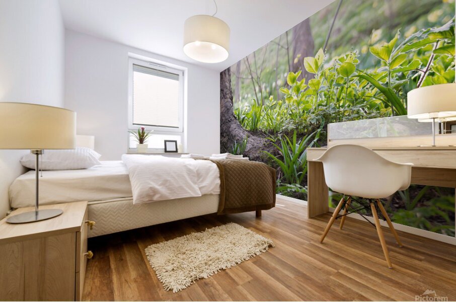 Plants In The Sunlight Mural print