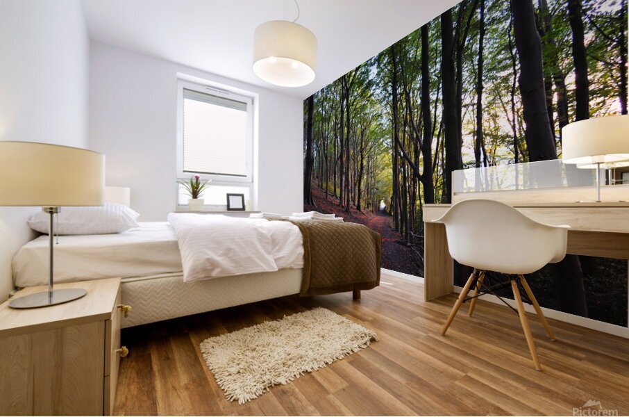 Belper Woods Mural print