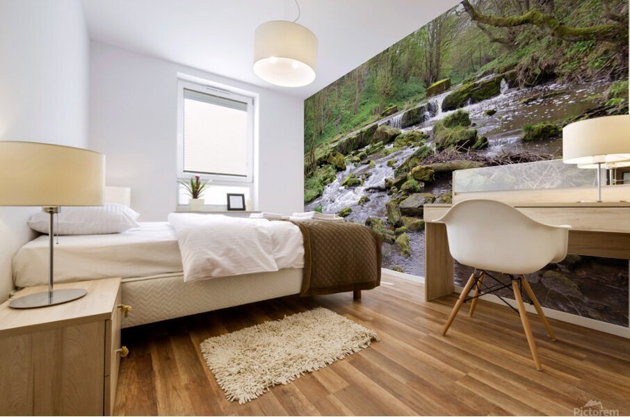 Scalby Brook Mural print