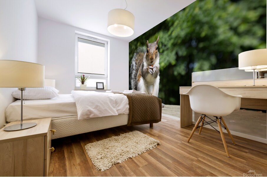 Hungry Squirrel Mural print