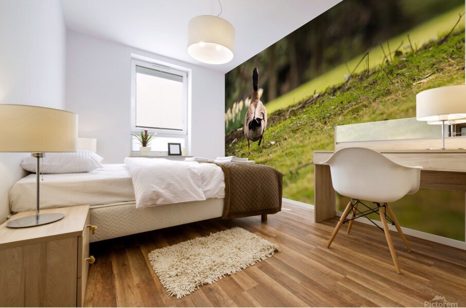 Wandering Mural print