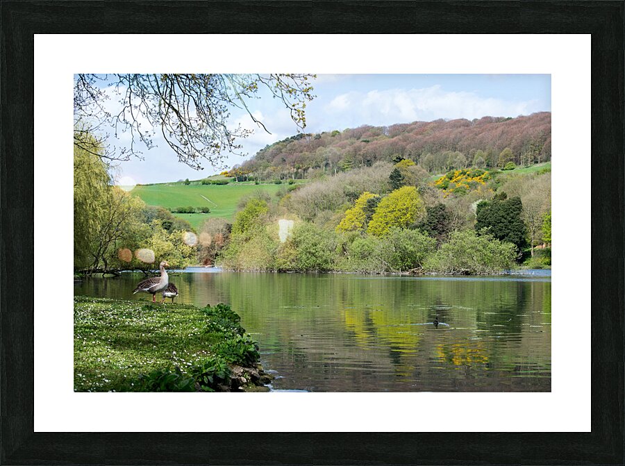 The Mere Picture Frame print