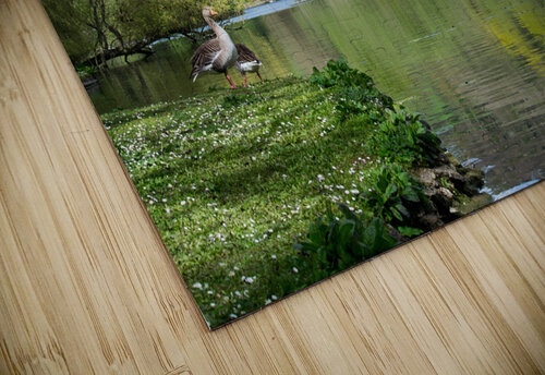 The Mere Katie Pywell puzzle