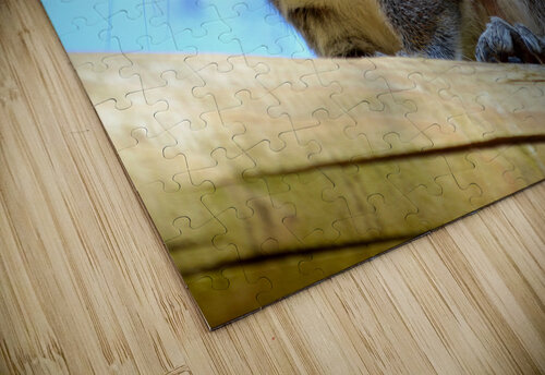 Peanut Hunter Katie Pywell puzzle
