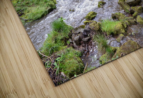 Scalby Brook Katie Pywell puzzle