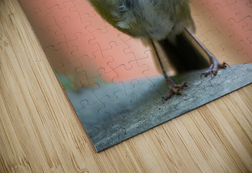 Robin Katie Pywell puzzle
