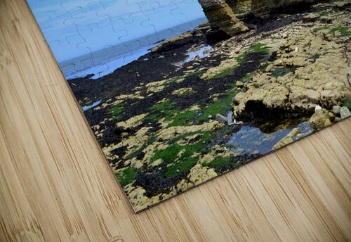 Flamborough Cliffs Katie Pywell puzzle