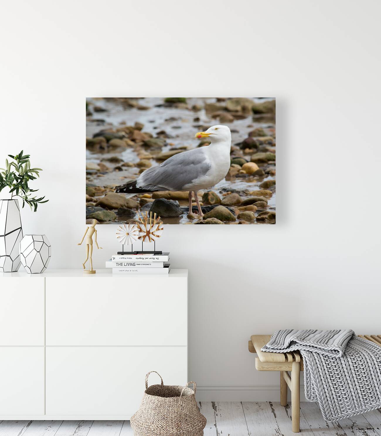 Seagull Pose Reproduction