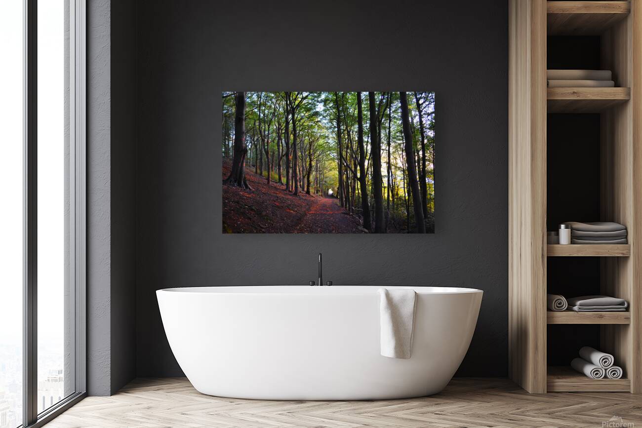 Belper Woods Reproduction