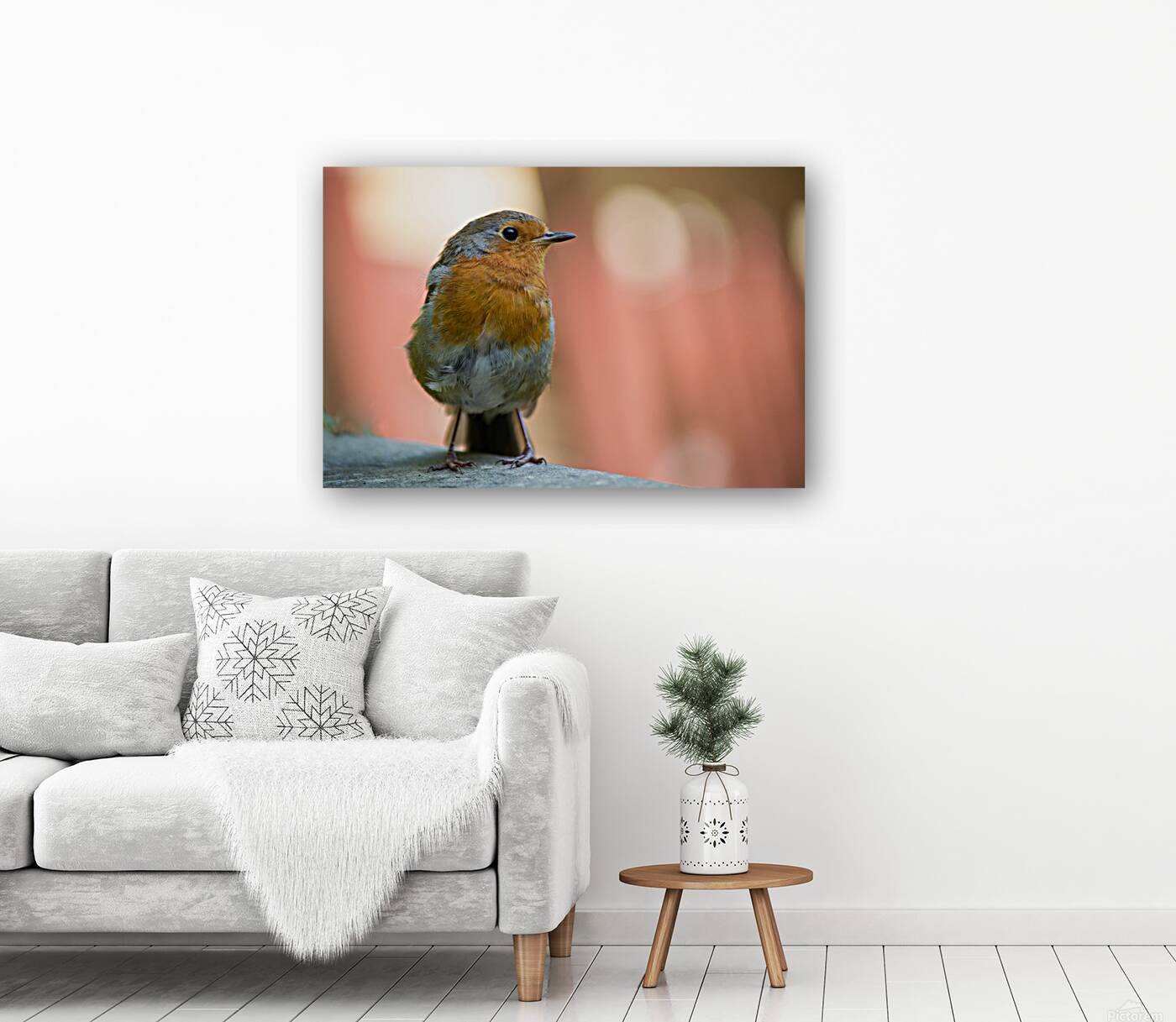 Robin Reproduction