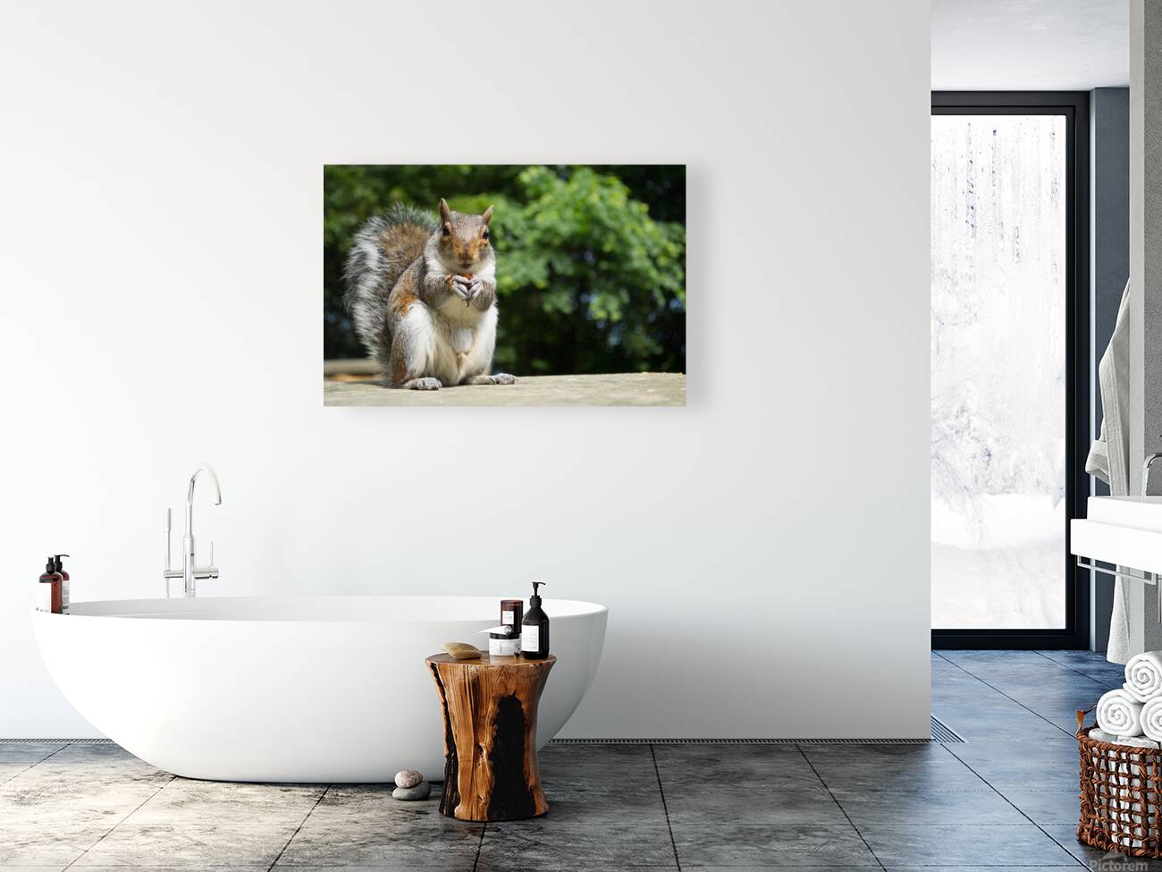 Hungry Squirrel Reproduction