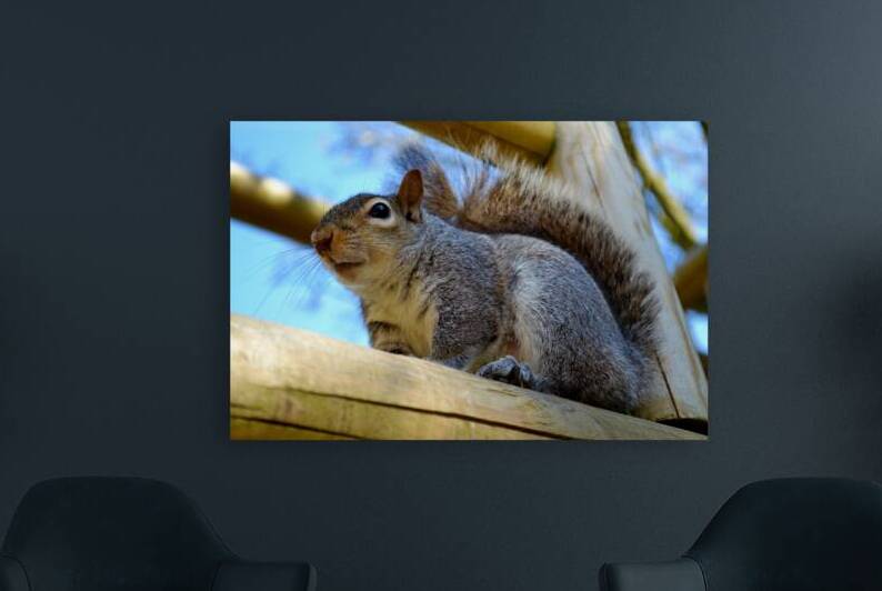 Peanut Hunter by Katie Pywell