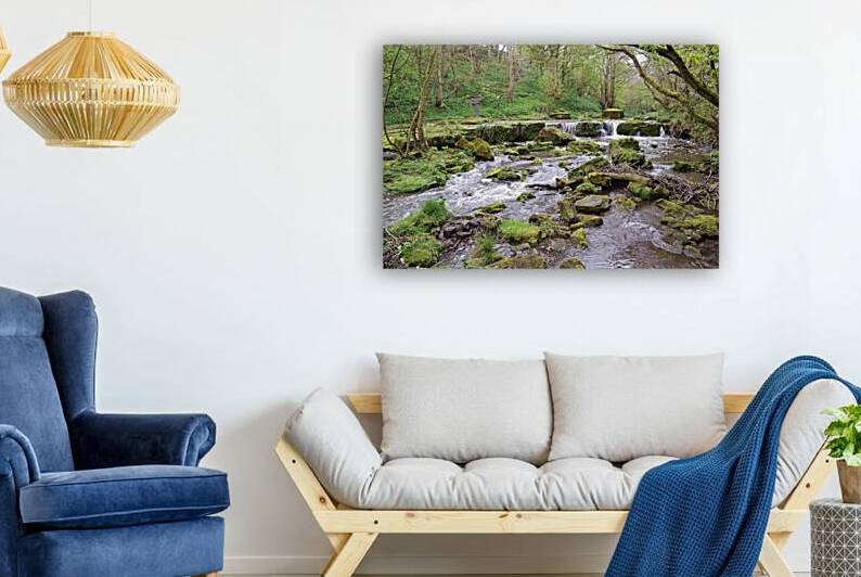 Scalby Brook by Katie Pywell