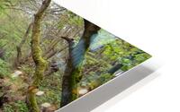 Scalby Brook HD Metal print