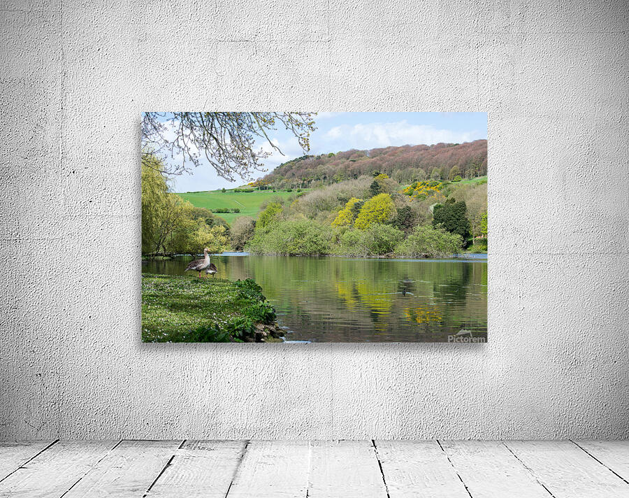 The Mere Wall Preview