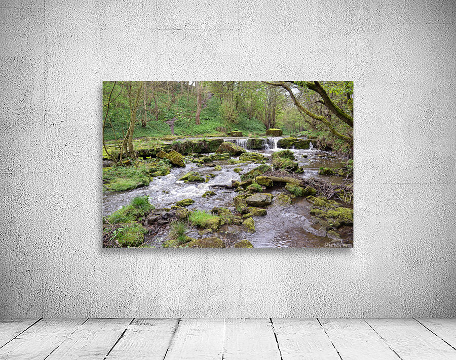 Scalby Brook Wall Preview