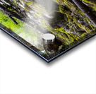 mossy Acrylic print