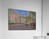 the winding road Acrylic Print