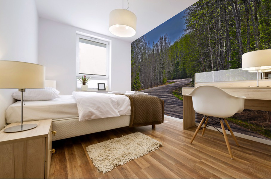 the winding road Mural print