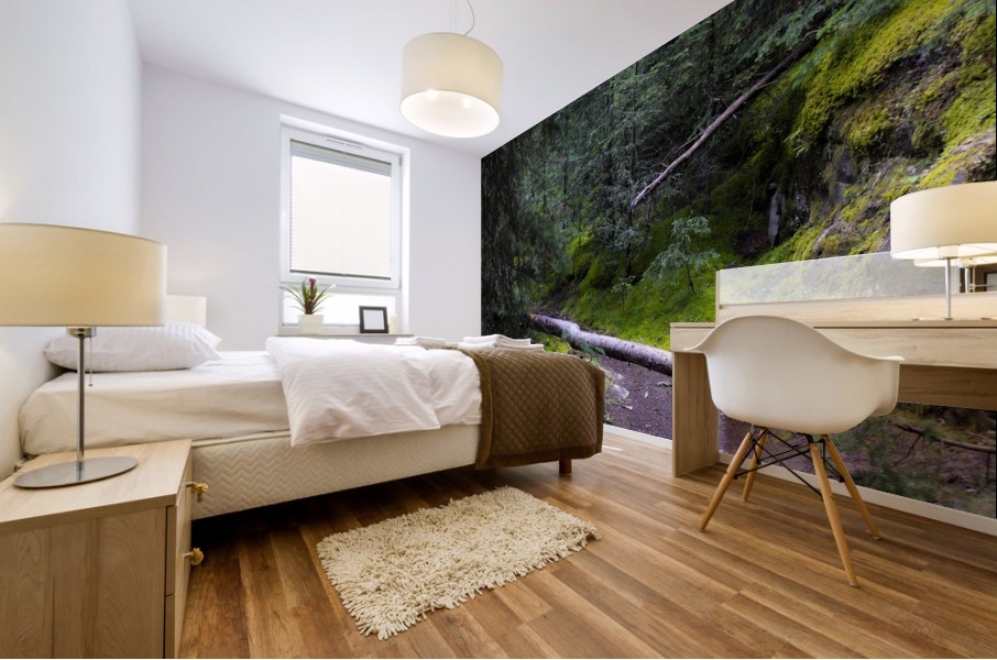 mossy trail Mural print