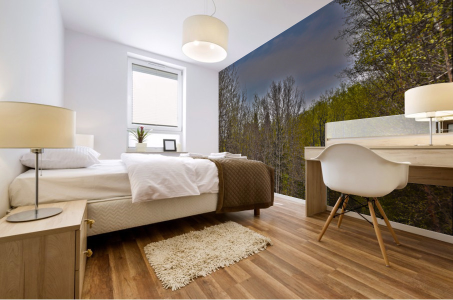 the winding road 2 Mural print