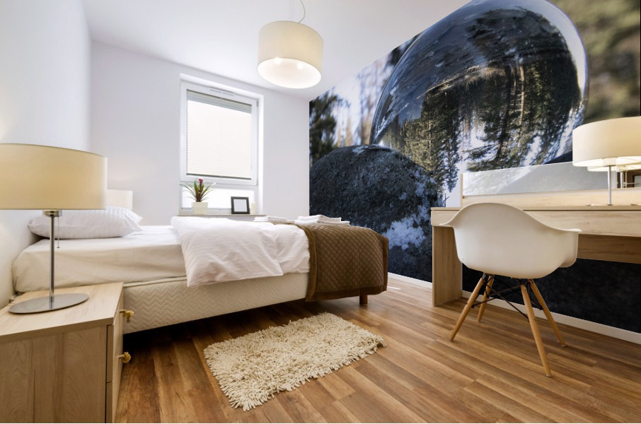 evergreen snowglobe Mural print