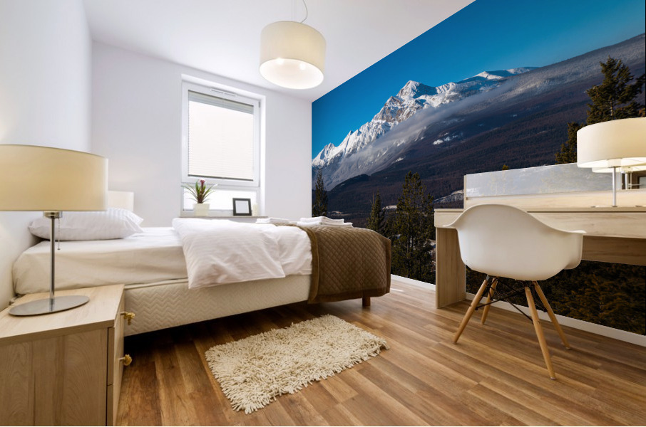 overlook Mural print