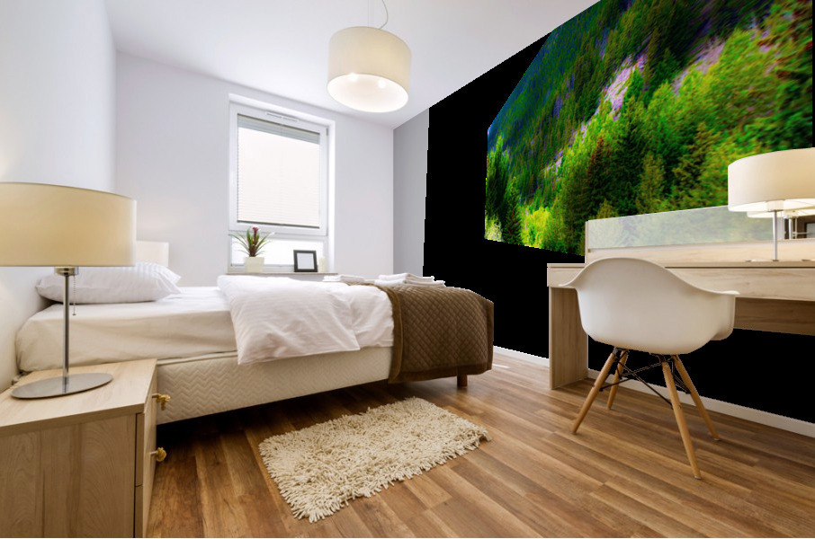 mountain track Mural print