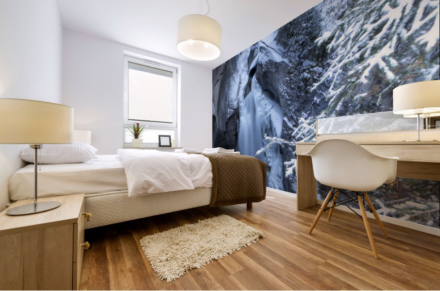 frozen falls Mural print