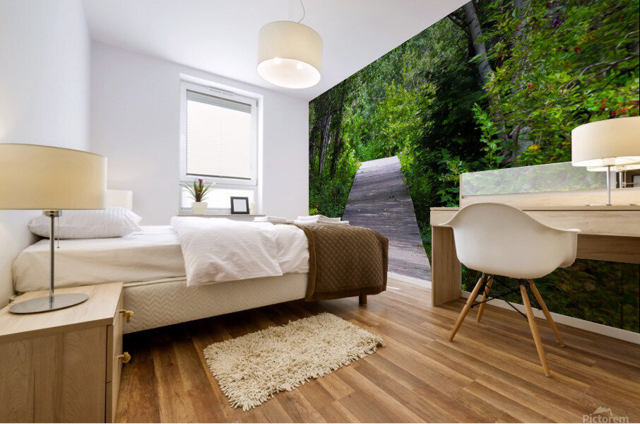 forest boardwalk Mural print
