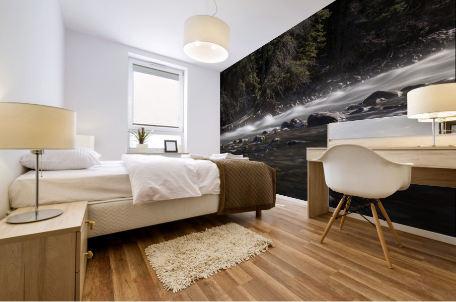 tiny rapids Mural print
