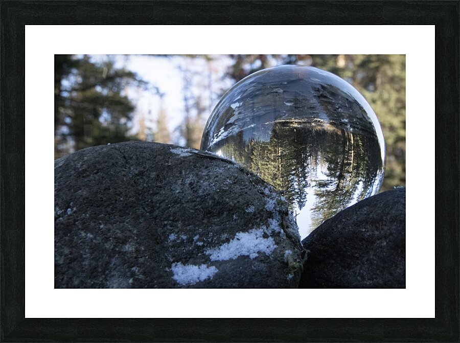 evergreen snowglobe Picture Frame print