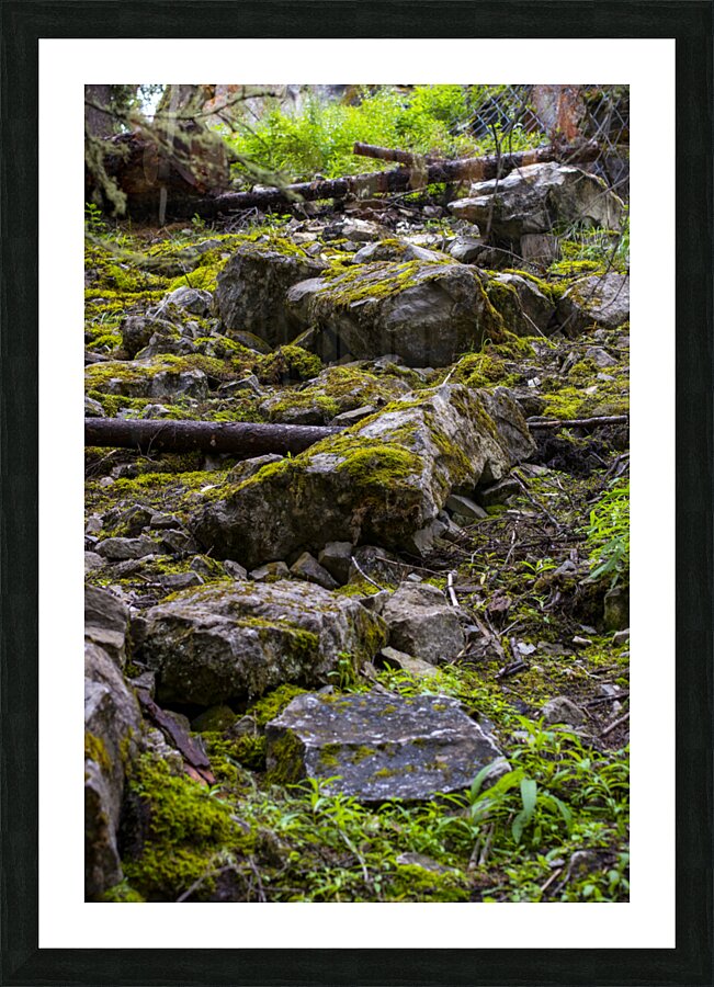 mossy Picture Frame print