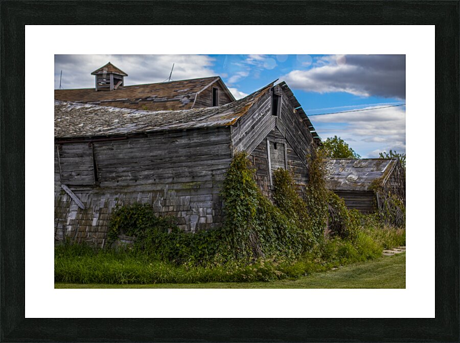 barns Picture Frame print